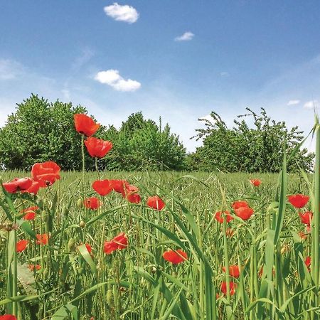 Appartamento Ariano nel Polesine A Papozze Esterno foto