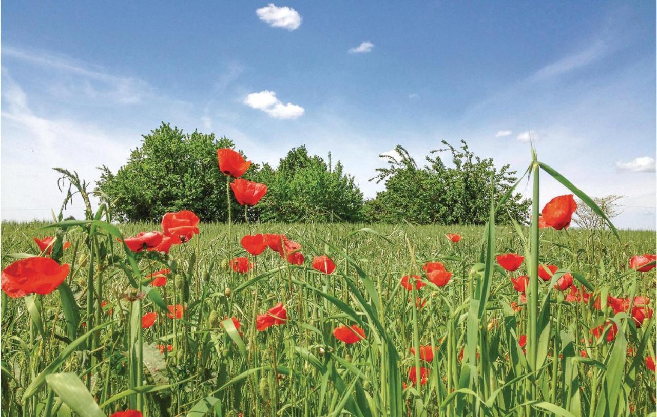 Appartamento Ariano nel Polesine A Papozze Esterno foto